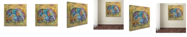 Trademark Global Oxana Ziaka 'Runes Elephant' Canvas Art - 35" x 35" x 2"